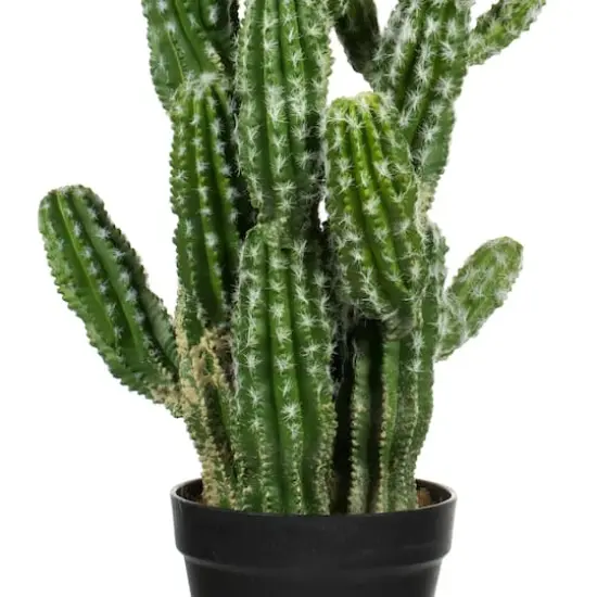 31" Artificial Green Potted Cactus {3}