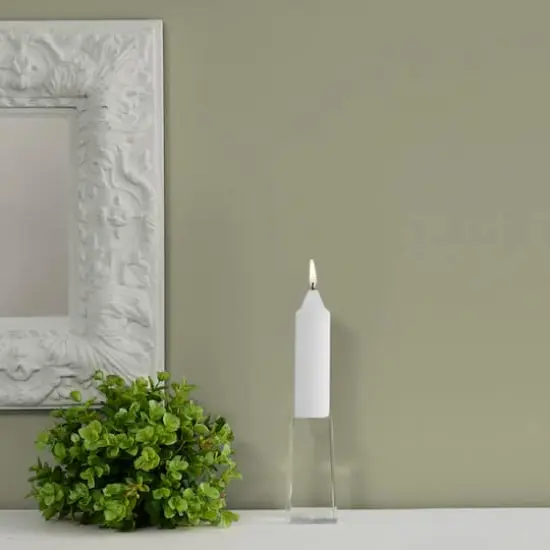 Root Candles 5" Unscented Timberline&trade; Collenette Taper Candles, 8ct. White {4}