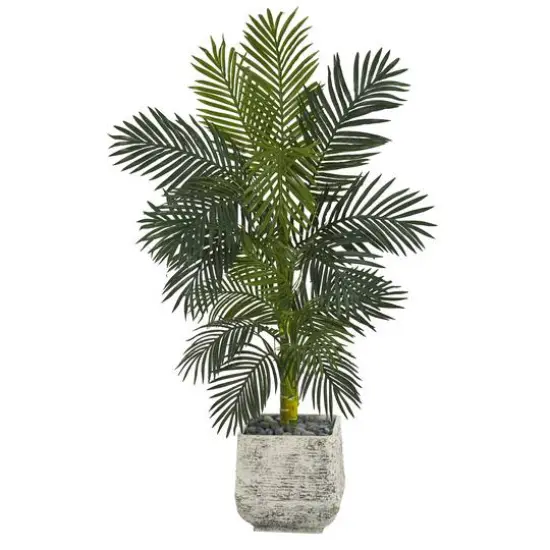 5ft. Golden Cane Palm Tree in White Planter {1}