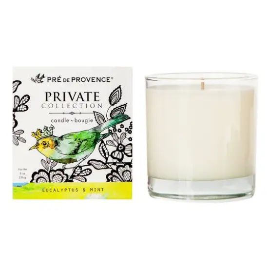European Soaps Private Collection Jar Candle Eucalytus and Mint {1}