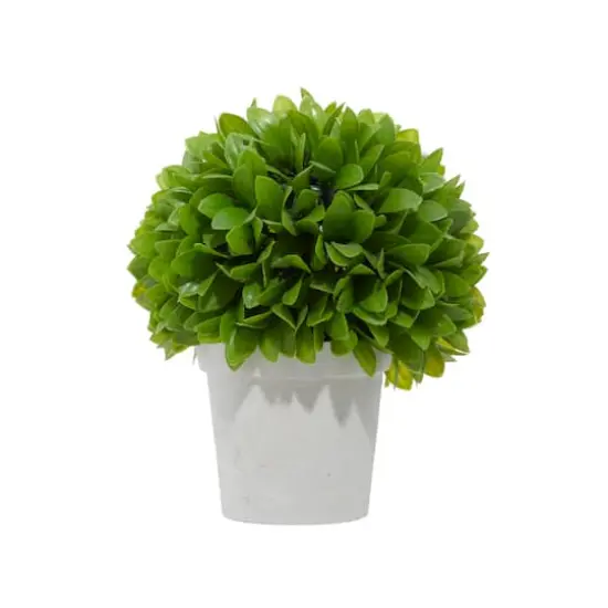 10" Boxwood Topiary in Decorative Planter {3}