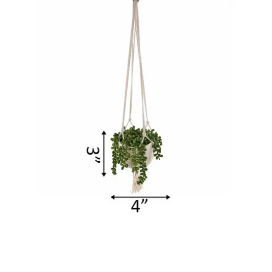 Flora Bunda&reg; 5.5" String Of Pearls Macram&eacute; Hanging Ceramic Donkey Tails  {3}