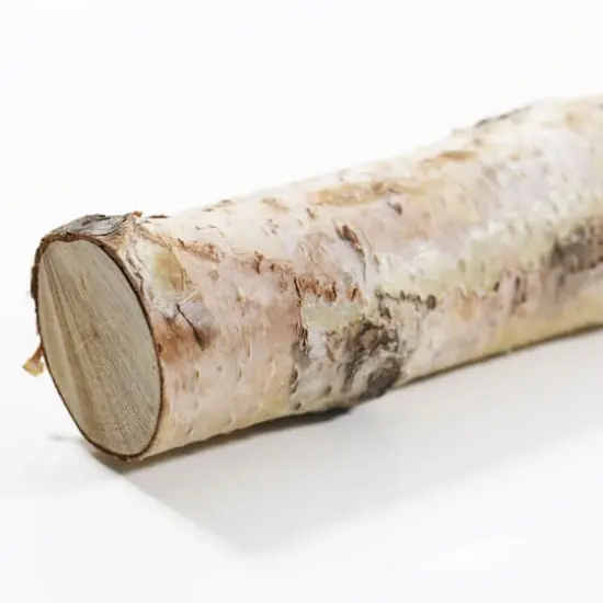 16" Birch Log by Ashland&reg; {4}