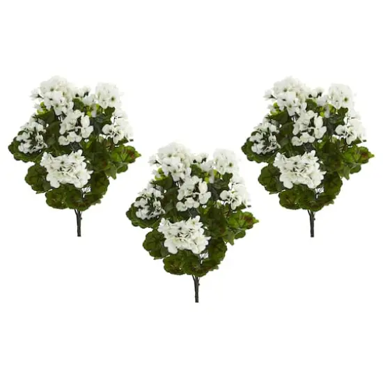 White Geranium Bush, 3ct. {3}