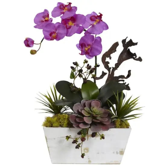 21" Orchid & Succulent Garden with Whitewashed Planter {1}