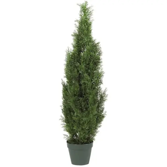 4ft. Potted Cedar Pine Tree {1}