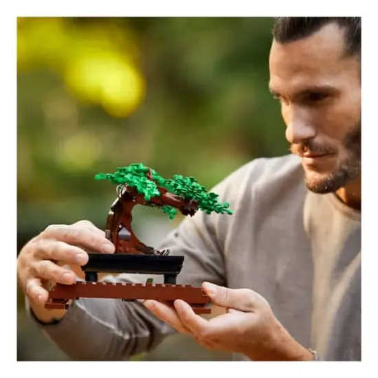 LEGO&reg; Botanicals&trade; Bonsai Tree {4}
