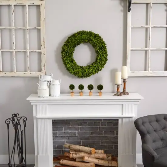 6" Boxwood Topiary Preserved Plant in Ceramic Planter, 4ct. {5}