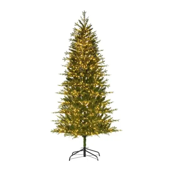 7ft. Pre-Lit Asheville Artificial Christmas Tree, Warm White LED Lights {1}