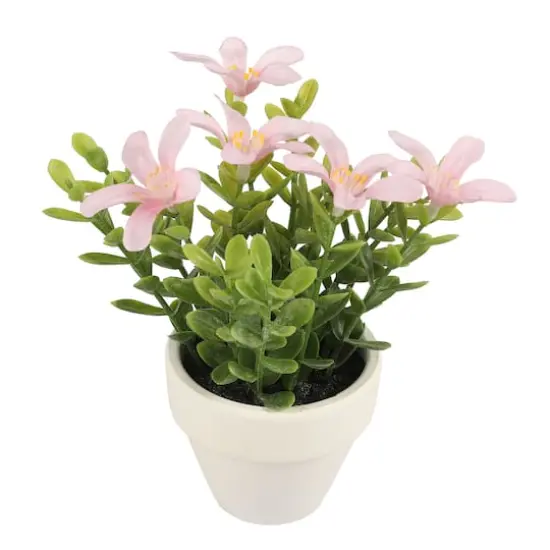 Mini Premade Boxwood Blooms in Terra Cotta Pots, 6ct. by Ashland&reg; Pink {3}