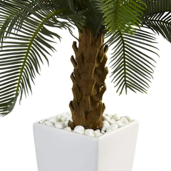 3ft. Sago Palm Tree in White Tower Planter {3}