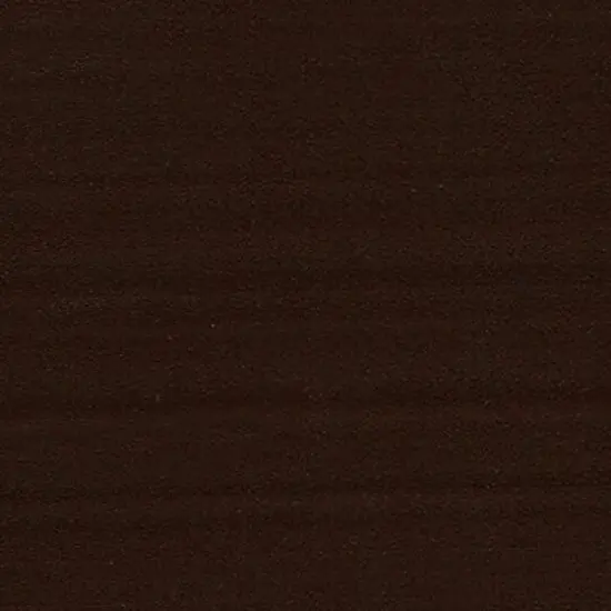 Golden&reg; SoFlat Matte Acrylic Paint, 16oz. Burnt Umber {4}