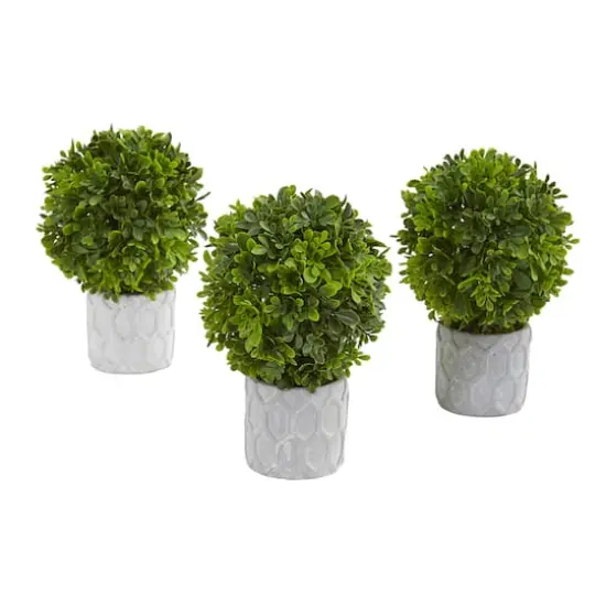 9" Potted Boxwood Mini Topiary, 3ct. {4}
