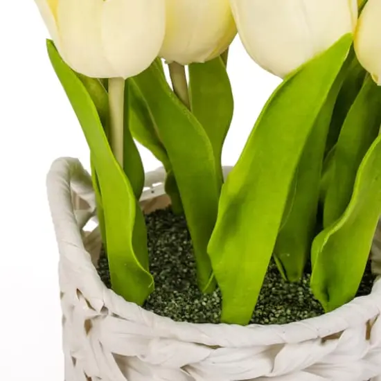 10" Tulip Bouquet in White Basket Light Yellow {5}