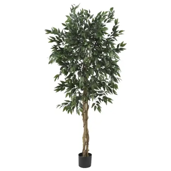 5ft. Potted Smilax Tree {1}