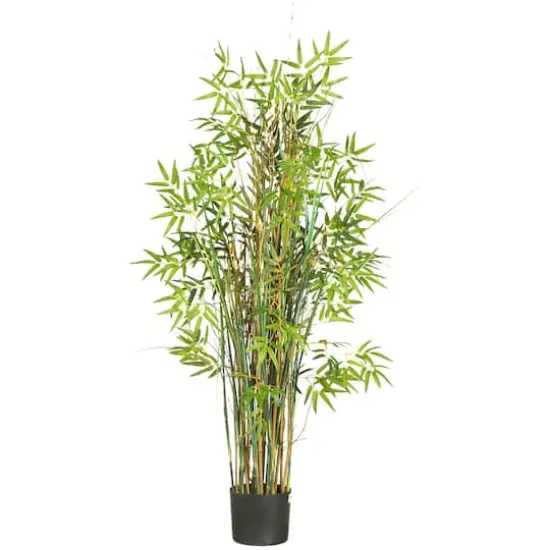 5ft. Potted Bamboo Grass Plant {1}