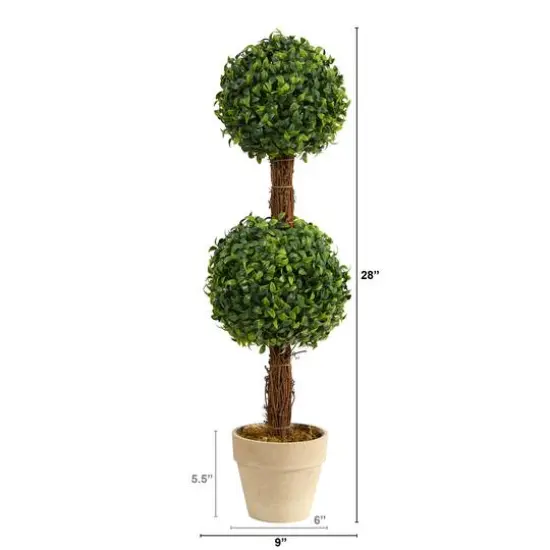 2ft. Boxwood Double Ball Topiary Tree in Cream Planter {3}