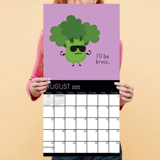 TF Publishing 2025 Puns of Fun Wall Calendar {6}