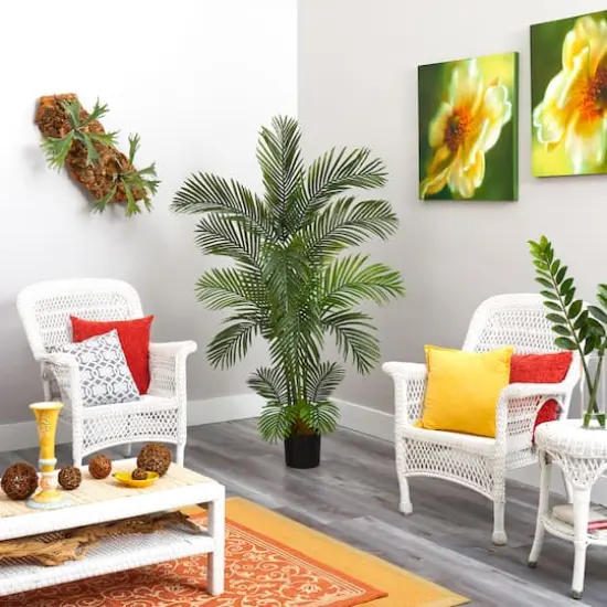 5.5ft. Potted Areca Palm Tree {5}