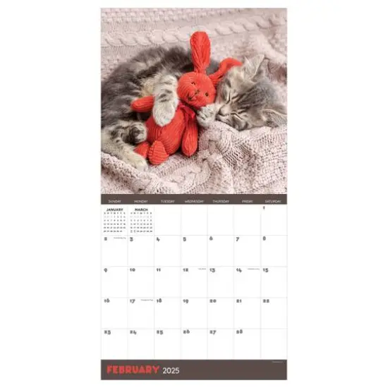 TF Publishing 2025 Cat Dreams Wall Calendar {6}