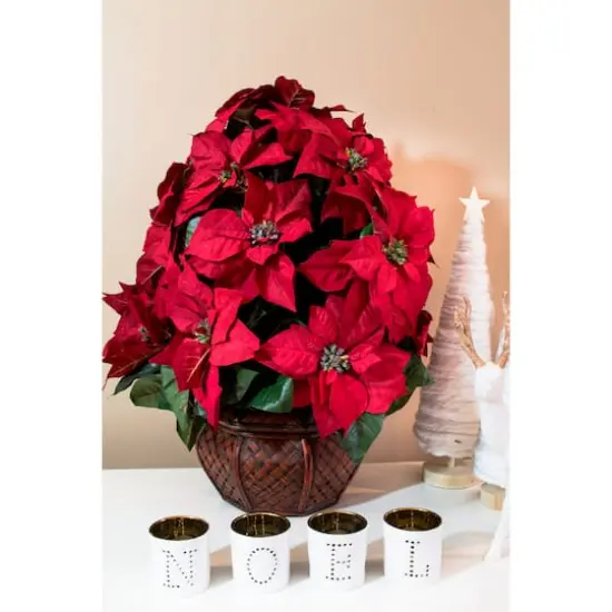 22" Potted Poinsettia with Decorative Planter {6}