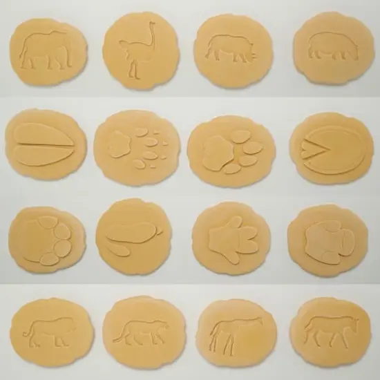 Yellow Door Let's Investigate Safari Footprints {5}