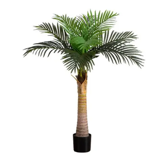 4ft. Potted Coconut Palm Tree {1}
