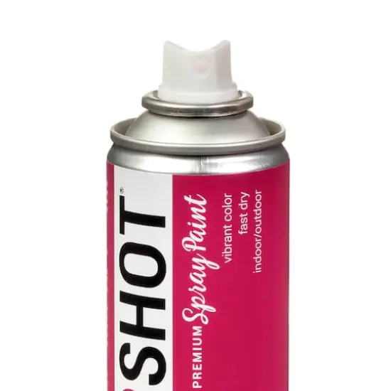 COLORSHOT&reg; Premium Gloss Spray Paint Cosmo {5}