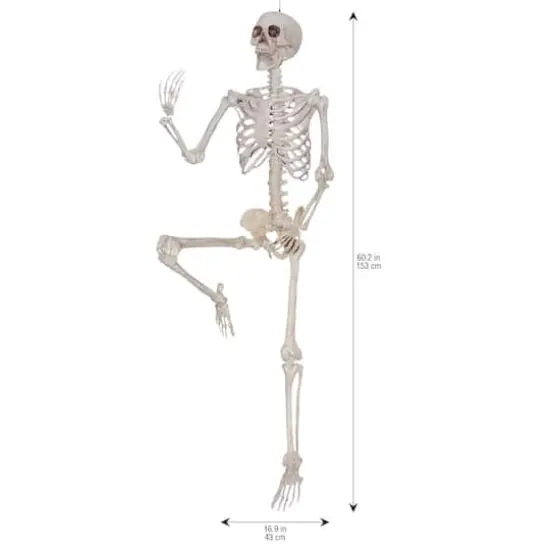 5ft. Poseable Skeleton with Red LED Eyes by Ashland&reg; {4}