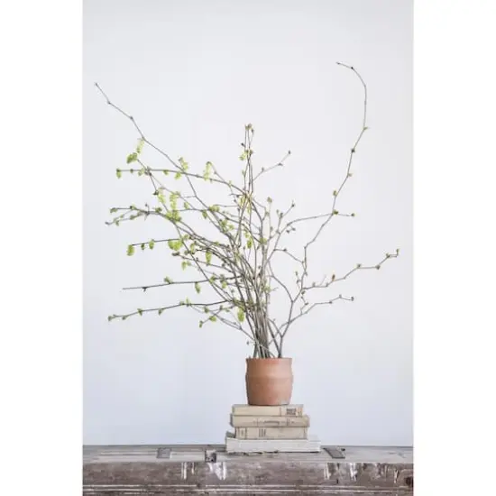 Hello Honey&reg; Round Terracotta Pot {5}