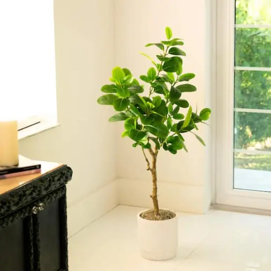 4ft. Artificial Audrey Ficus Tree {3}