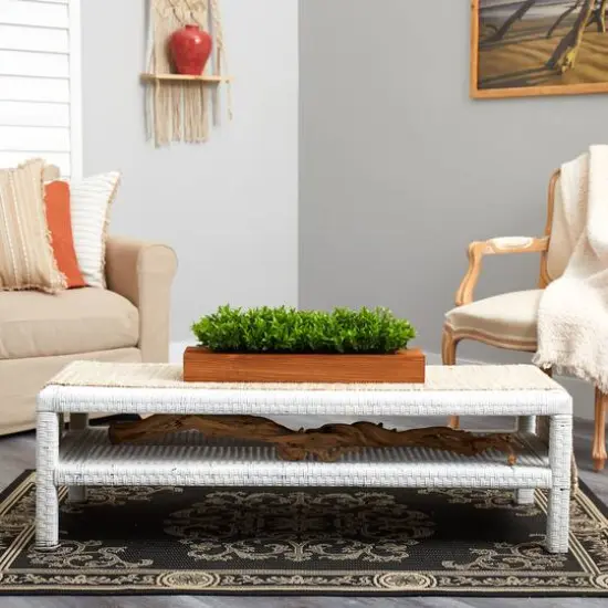 6" Sweet Grass Plant in Decorative Planter {6}