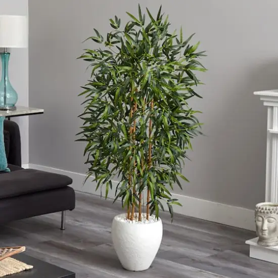 5ft. Bamboo Tree in Oval White Planter {3}