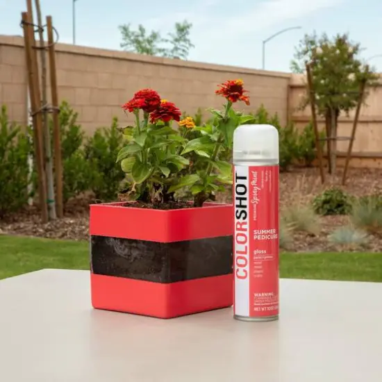 COLORSHOT&reg; Premium Gloss Spray Paint Summer Pedicure {6}