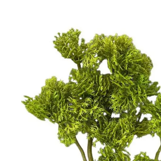 10.5" Moss Pick by Ashland&reg; {3}