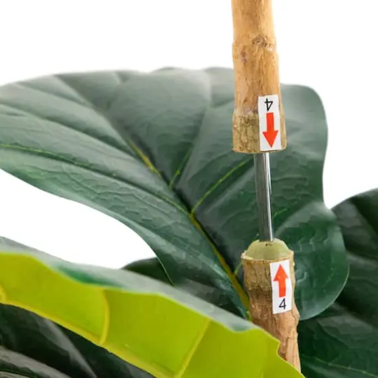 6ft. Fiddle Leaf Tree in Decorative White Planter {8}