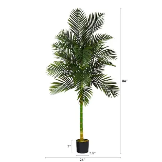 7ft. Potted Golden Cane Palm Tree {3}
