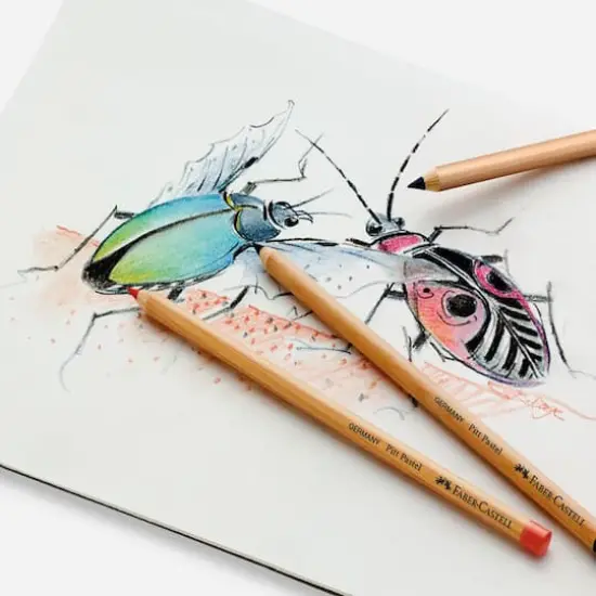 Faber-Castell Pitt 24 Color Pastel Pencil Set {6}