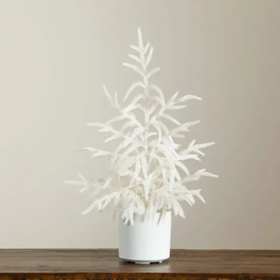 2ft. Artificial Real Touch White Norfolk Island Pine Christmas Tree with Natural Look {6}