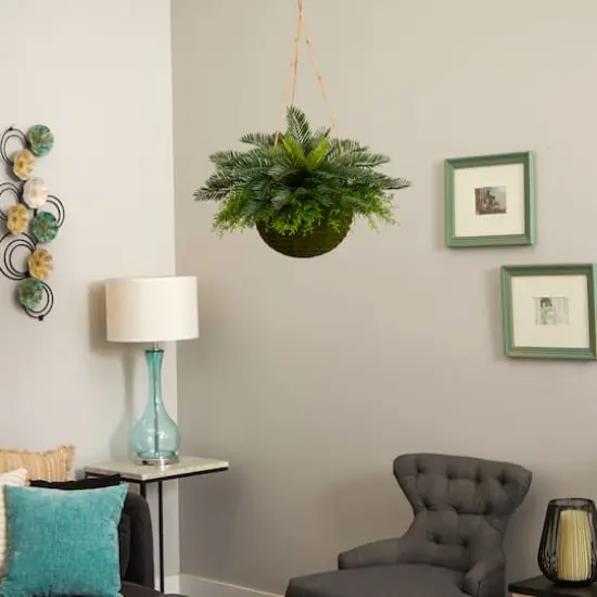 13" Cycas Plant in Mossy Hanging Basket {4}