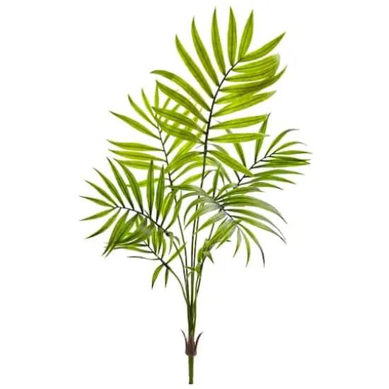 Mini Areca Palm Bushes {1}