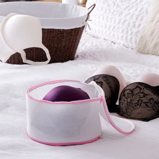 Household Essentials 10" Bra Wash Bag {3}
