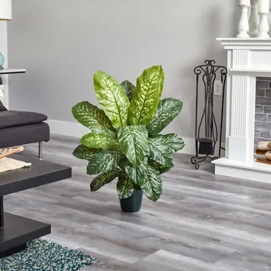 3ft. Potted Dieffenbachia Plant {5}