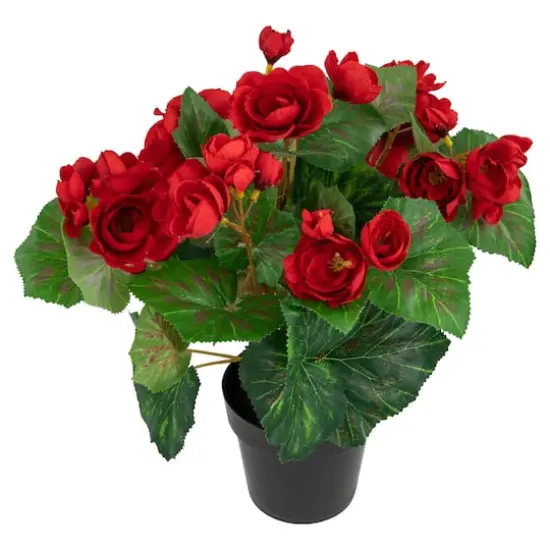 11" Red Potted Silk Begonia Floral Arrangement {1}