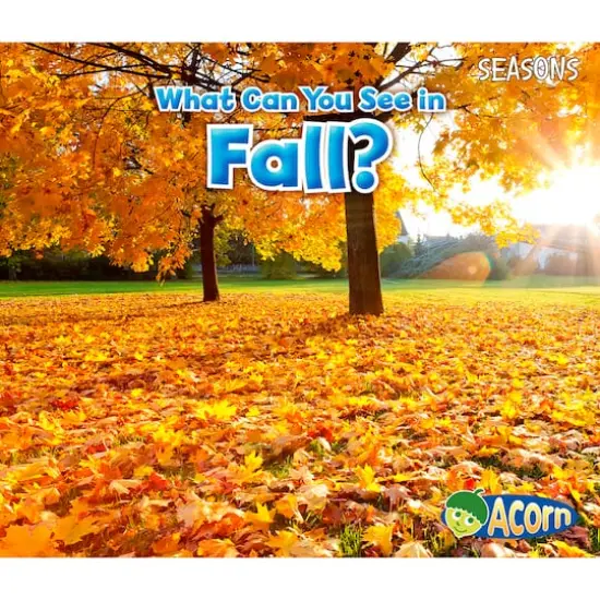 Capstone Press Seasons 4 Book Set {3}