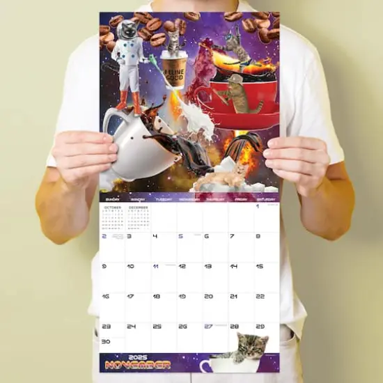 TF Publishing 2025 Space Cats Wall Calendar {5}