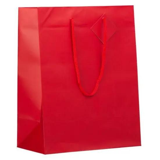 JAM Paper Large Matte Gift Bag, 3ct. White {2}