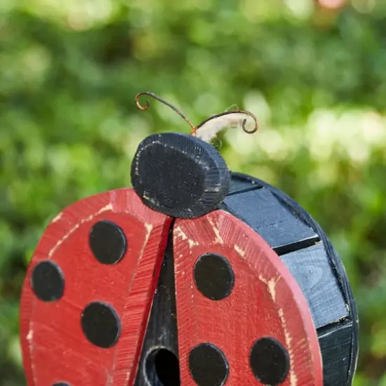 Glitzhome&reg; 11.5" Distressed Wood Ladybug Birdhouse {4}