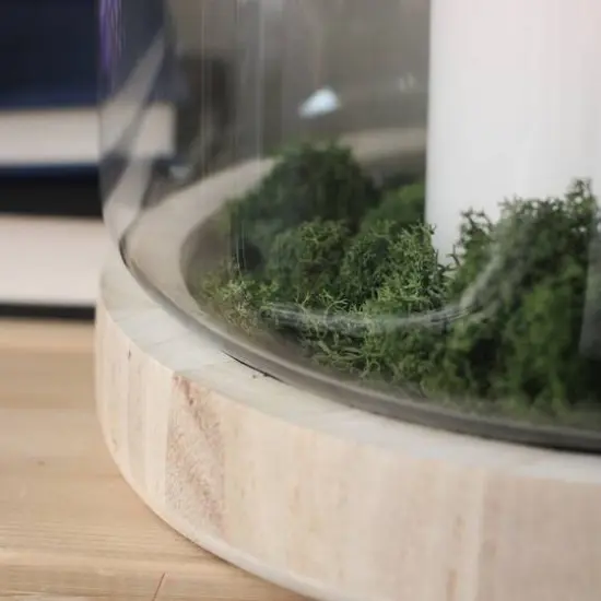 Transparent Glass Hurricane with Wooden Lid and Base {7}