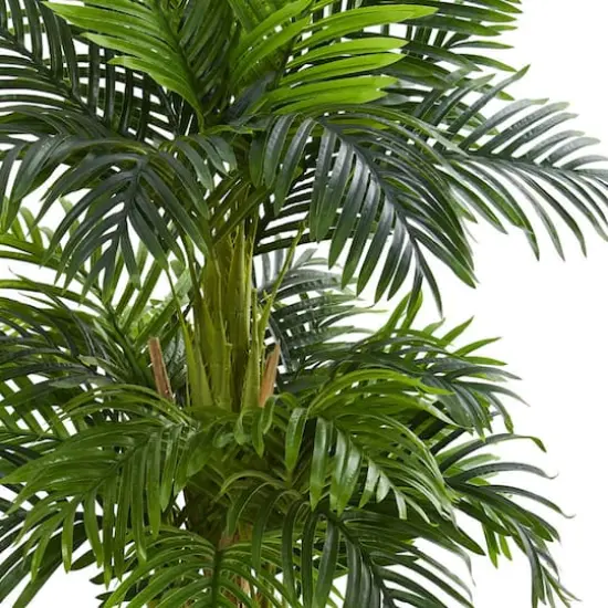 5ft. Potted Triple Areca Palm Tree {3}